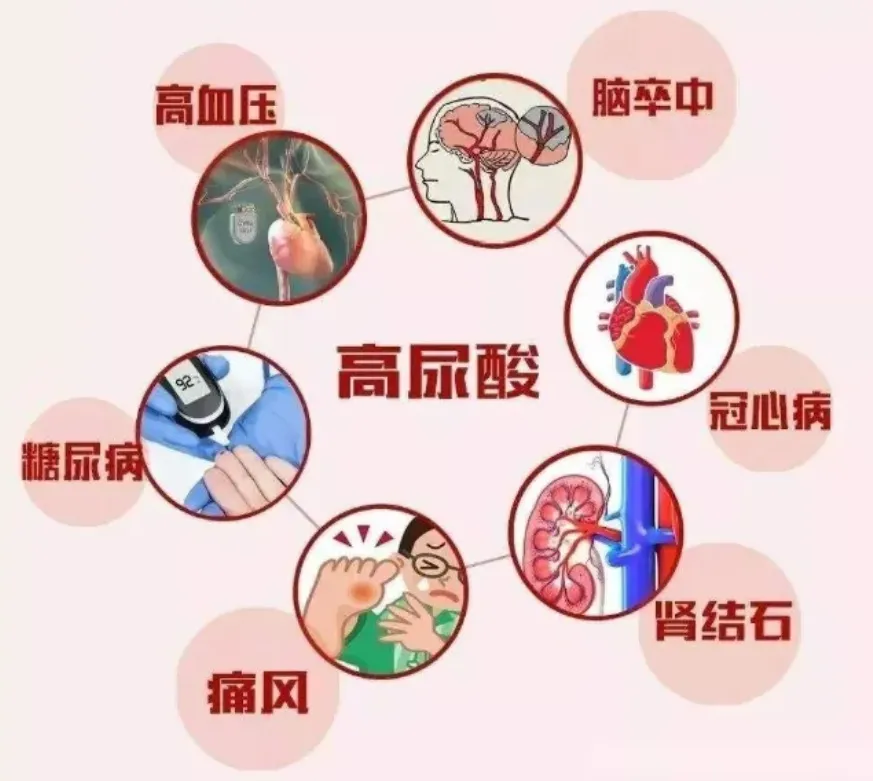 微信图片_20250603144358.png