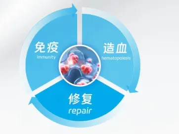 微信图片_20250605154324.png
