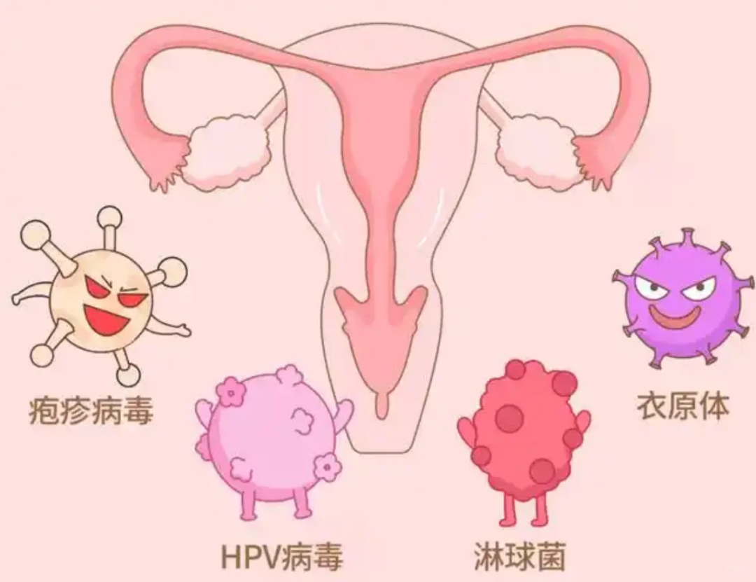 微信图片_20250606100336.png