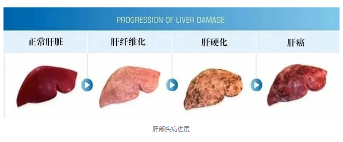 微信图片_20250606090103.png