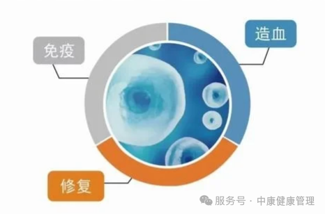 微信图片_20250624094539.png