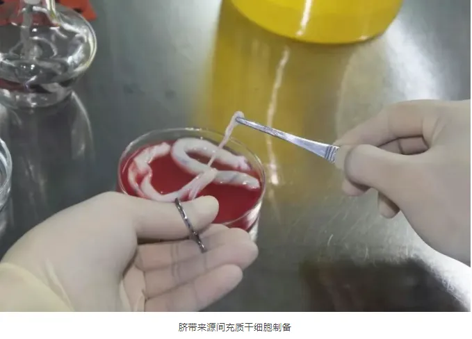 微信图片_20250606090521.png
