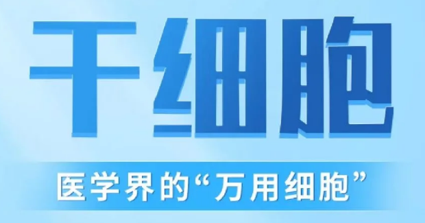 微信图片_20250605102319.png