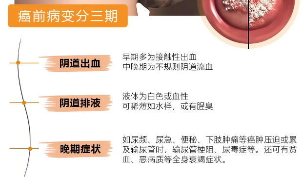 微信图片_20250606100658.png