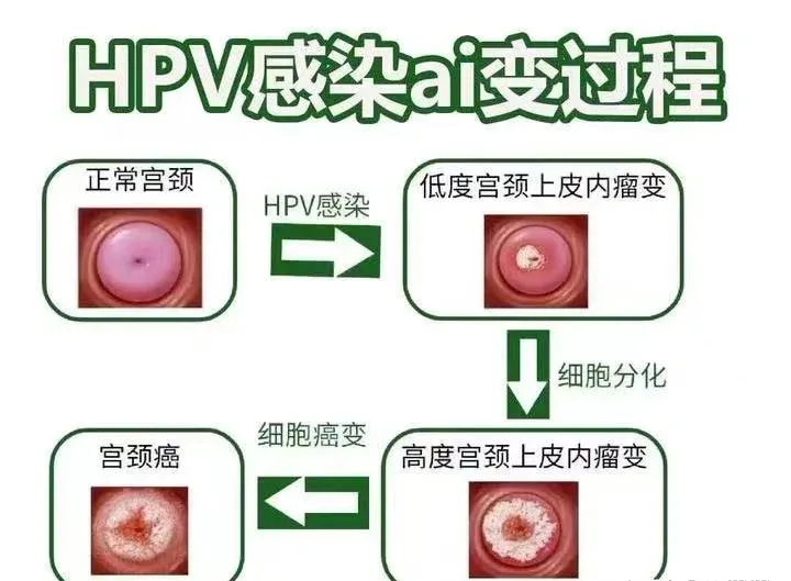 微信图片_20250606100442.png