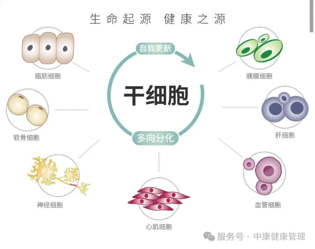 微信图片_20250624094602.png